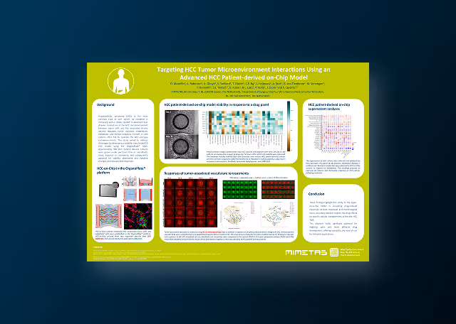 Targeting HCC Tumor Microenvironment Interactions Using an Advanced HCC Patient-Derived On-Chip Model