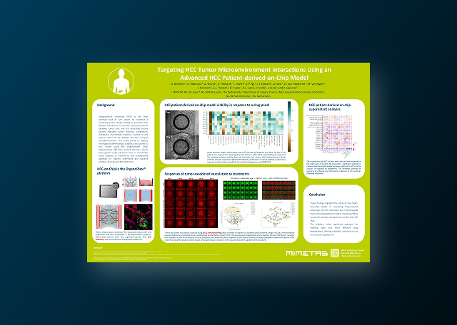 Targeting HCC Tumor Microenvironment Interactions Using an Advanced HCC Patient-Derived On-Chip Model