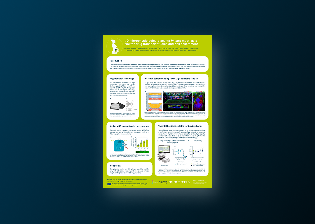 3D Microphysiological Placenta In Vitro Model as a Tool for Drug Transport Studies and Risk Assessment