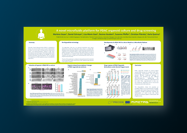 A Novel Microfluidic Platform for Organoid Culture and Drug Screening