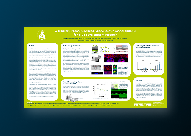 A Tubular Organoid-Derived Gut-On-A-Chip Model Suitable for Drug Development Research