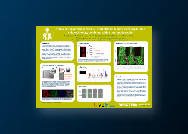 Assessing snake venom toxicity in ready-to-use endothelial tubules using a multiplex method