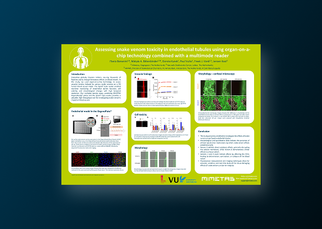 Assessing snake venom toxicity in ready-to-use endothelial tubules using a multiplex method