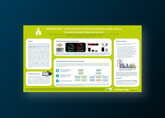 Nephrotoxicity and Drug Interaction Study Using a Human Proximal Tubule-On-A-Chip