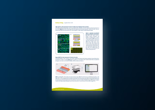 A 3D Human Blood-Brain Barrier Model in a High Throughput Platform for Disease Modeling and Drug Development