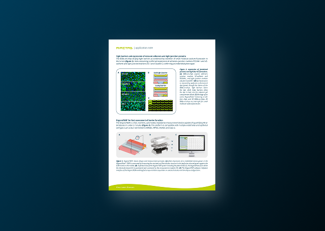 A 3D Human Blood-Brain Barrier Model in a High Throughput Platform for Disease Modeling and Drug Development