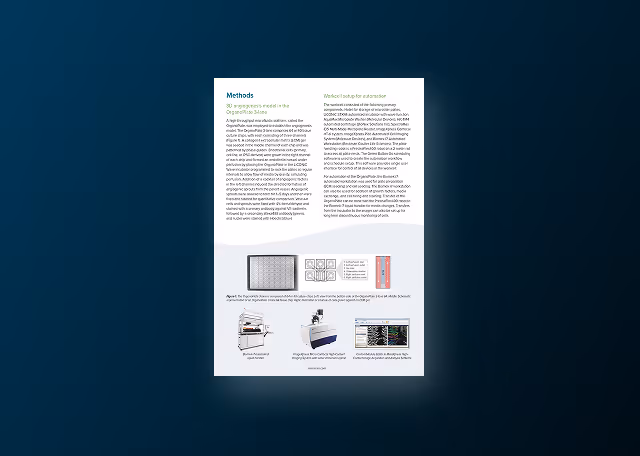 Automation of an Organ-on-a-Chip Assay: Automated Culture, Imaging, and Analysis of Angiogenesis