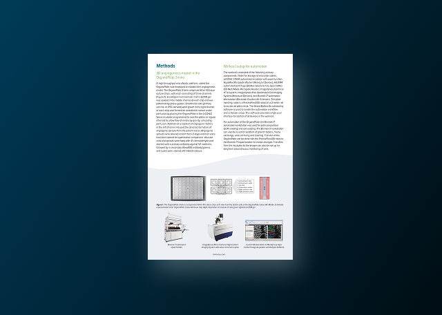 Automation of an Organ-on-a-Chip Assay: Automated Culture, Imaging, and Analysis of Angiogenesis