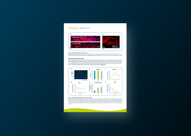Building a High-throughput and Automated Liver-on-a-chip Model for Hepatotoxicity Detection