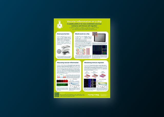 Vascular Inflammation-On-a-Chip