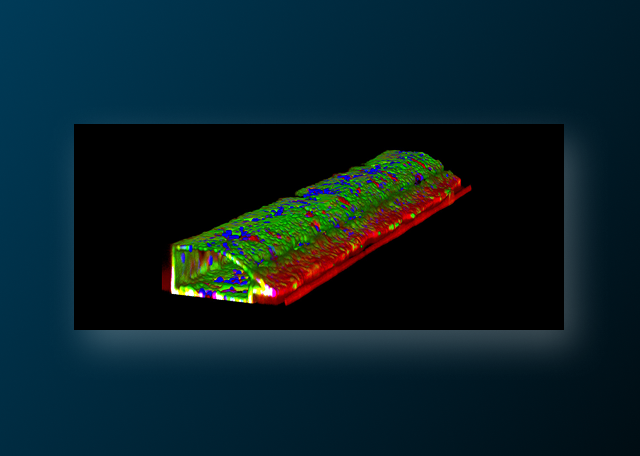 How To Grow Intestinal Permeability Models in 4 Days