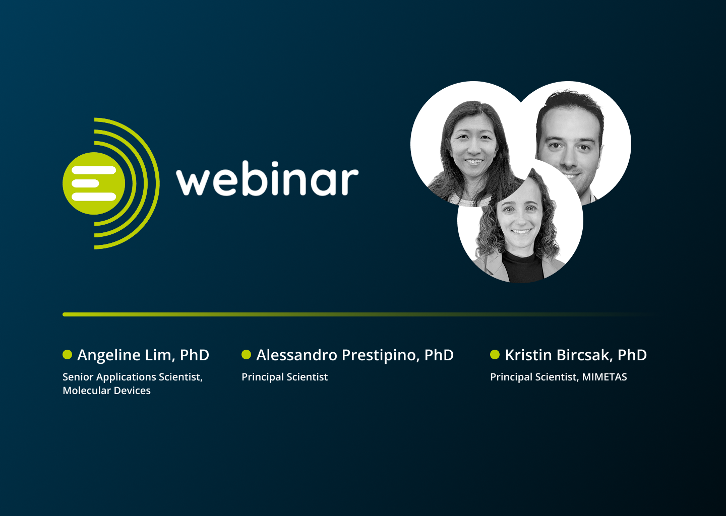 Enhancing 3D Disease Models: Automated, High-throughput Phenotypic Screening with Organ-on-a-Chip