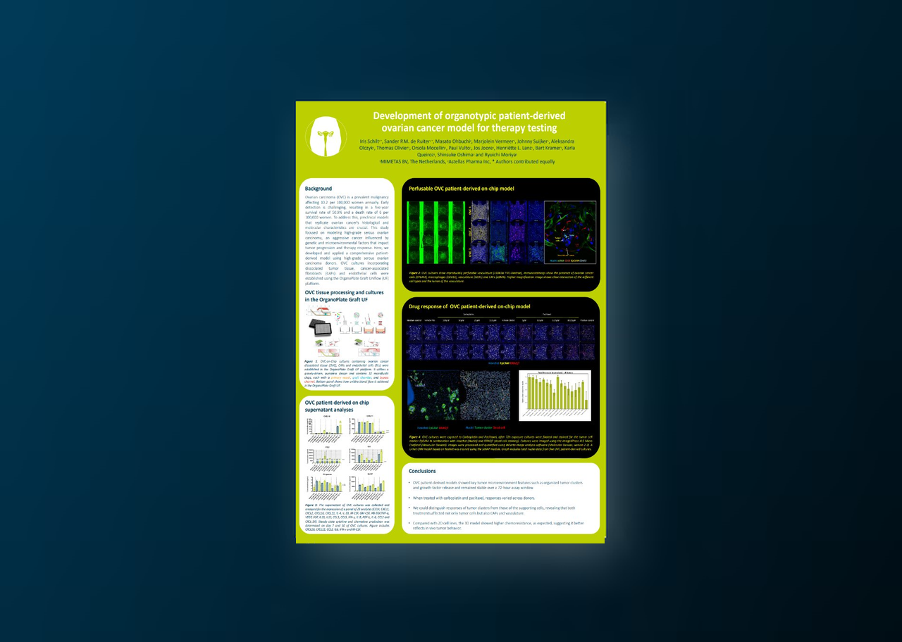 A Ready-to-Use Human Kidney-on-a-Chip Model for Physiologically Relevant Research and High Throughput Drug Development