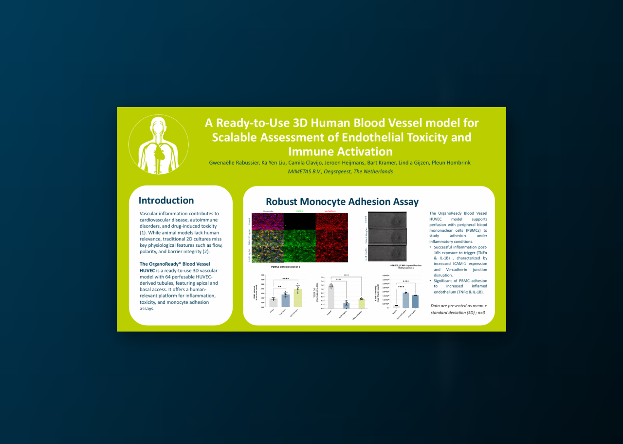 A Ready-To-Use Model for Scalable Assessment of Endothelial Toxicity and Immune Activation