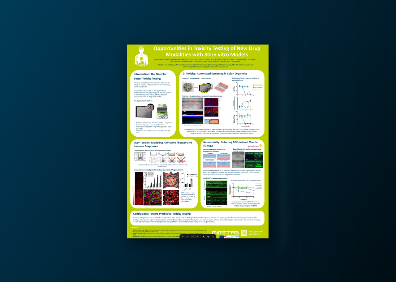 Opportunities in Toxicity Testing of New Drug Modalities with 3D in vitro Models 