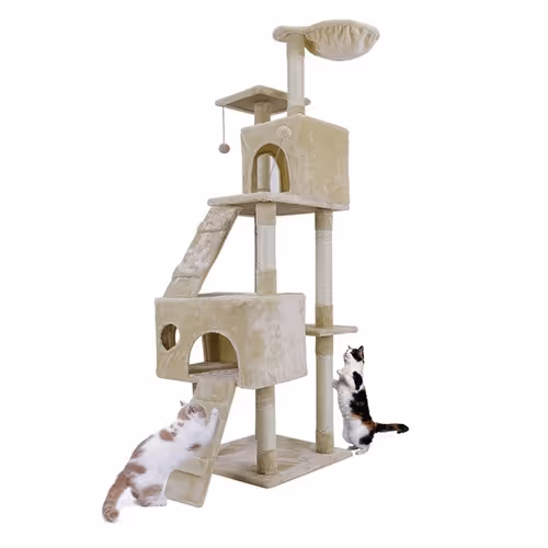 Cat Toy