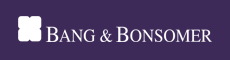 Bang & Bonsomer