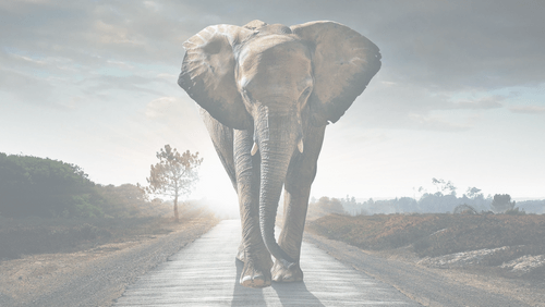 Impero børsnoteret på Nasdaq First North