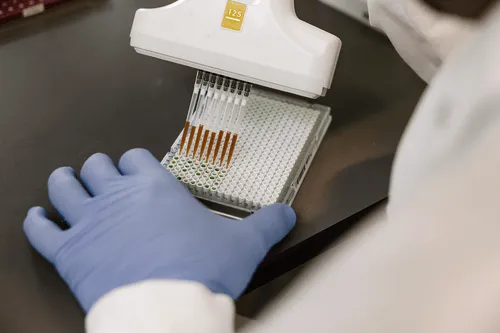 Biotech lab researcher pipetting samples in sterile environment