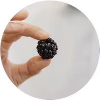 Precision agriculture research with hand-inspected genetically optimized blackberry