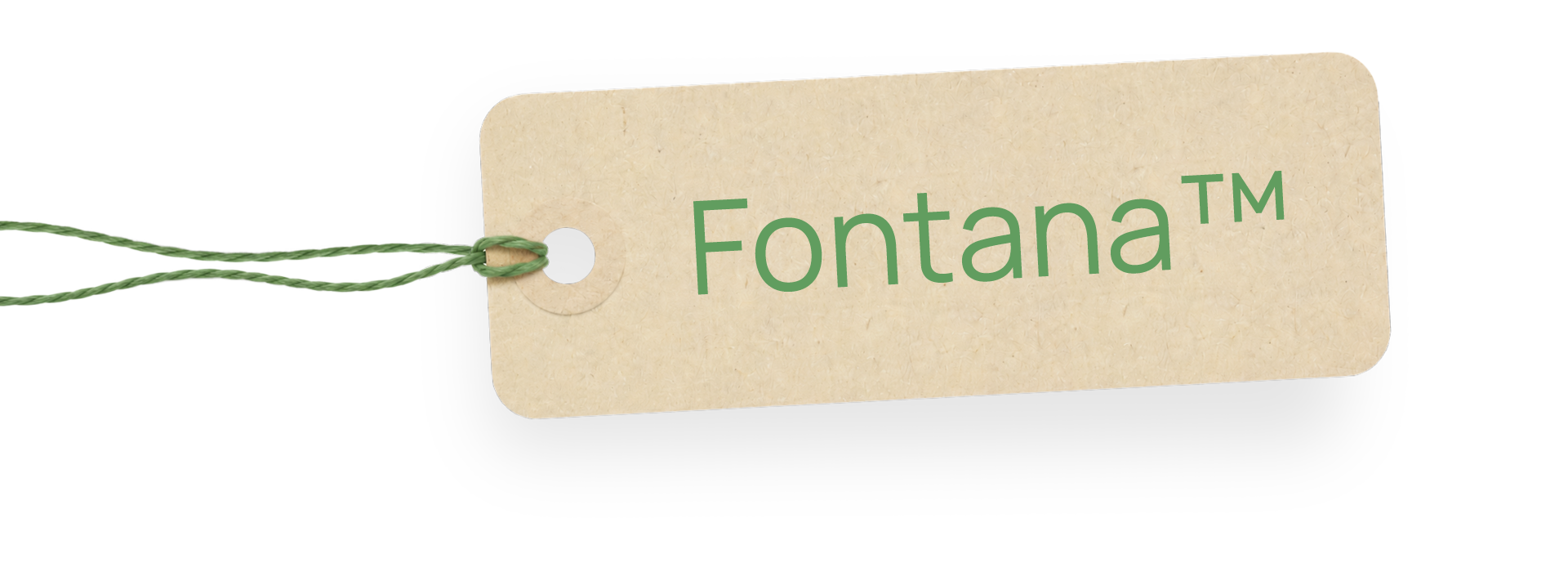 Fontana branding artwork