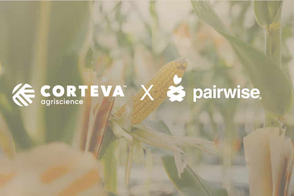 Corteva, Pairwise Join Forces to Accelerate Gene Editing, Advance Climate Resilience in Agriculture