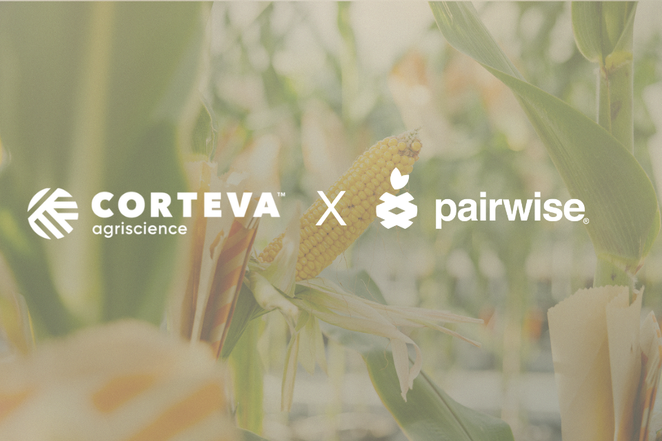 Corteva, Pairwise Join Forces to Accelerate Gene Editing, Advance Climate Resilience in Agriculture