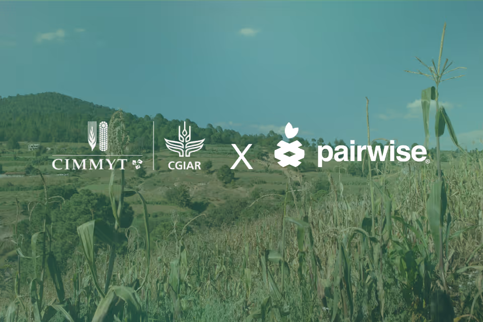 Pairwise Licenses Gene Editing Tools to CIMMYT to Fast-Track Smallholder Farming Systems’ Transformation