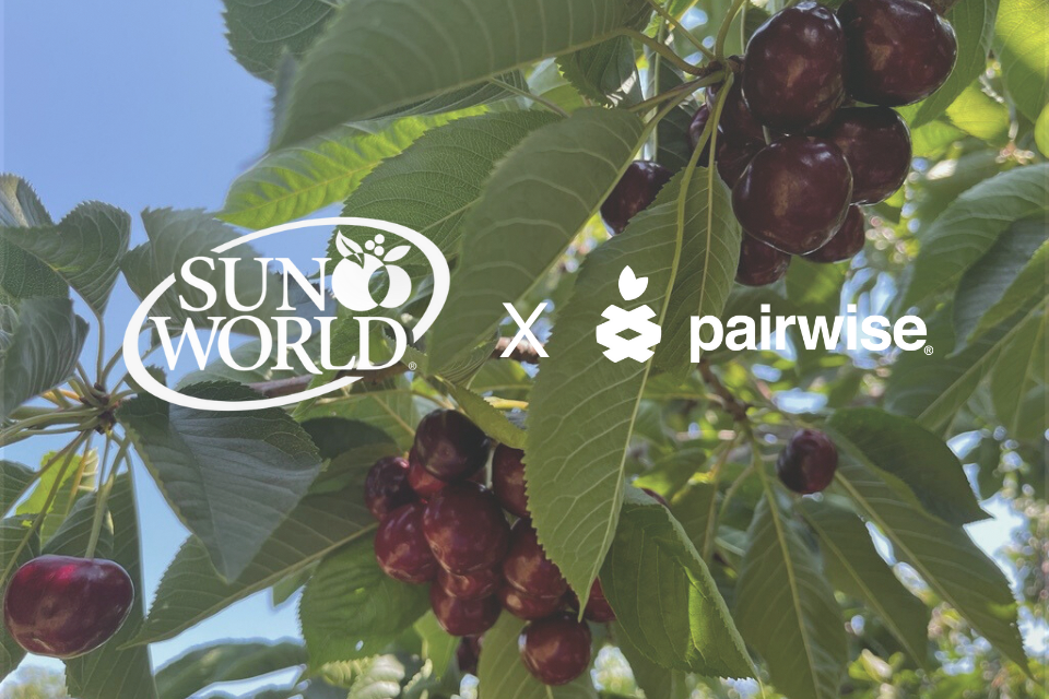 Sun World International and Pairwise Launch Strategic Partnership to Develop a Holy Grail of Produce – the Pitless Cherry