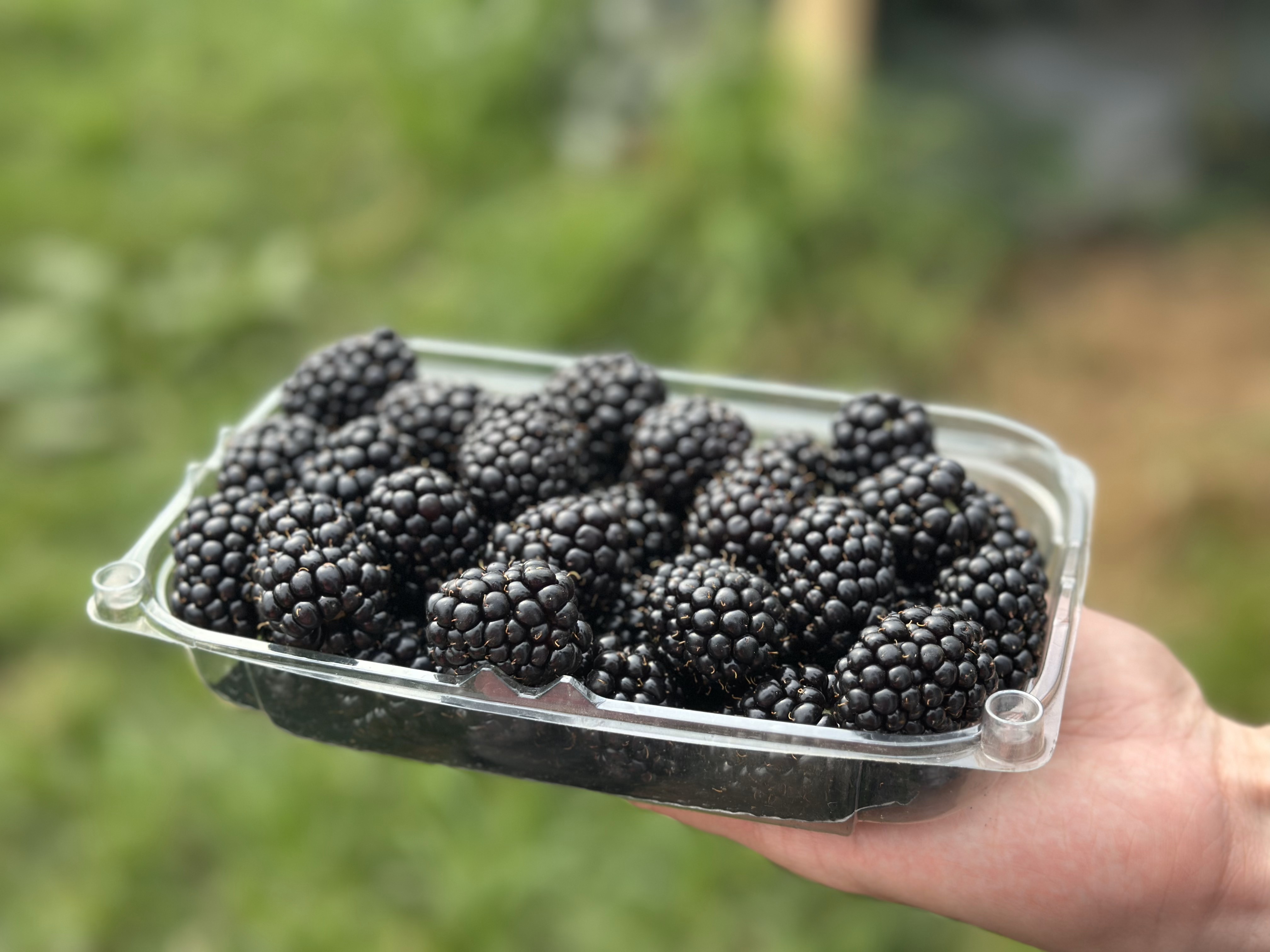 The Proof is in the Products | January 2026