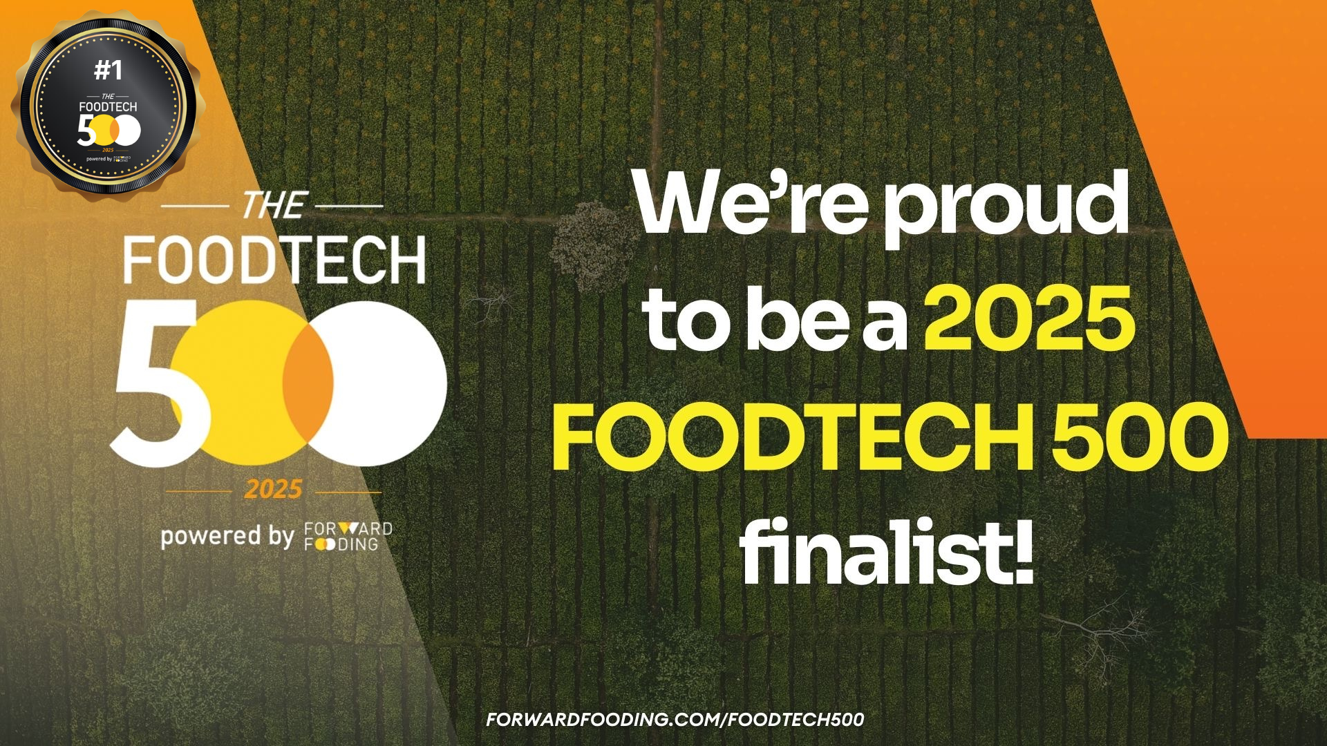 Pairwise Named No. 1 on the FoodTech 500 (2025) 