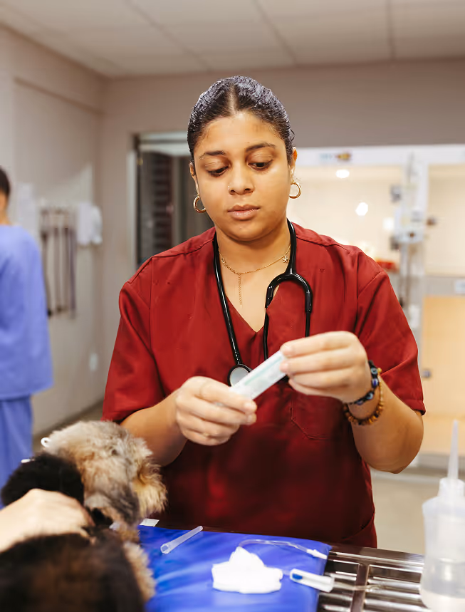 Veterinarian in red scrubs preparing a syringe near a small dog on the examination table.