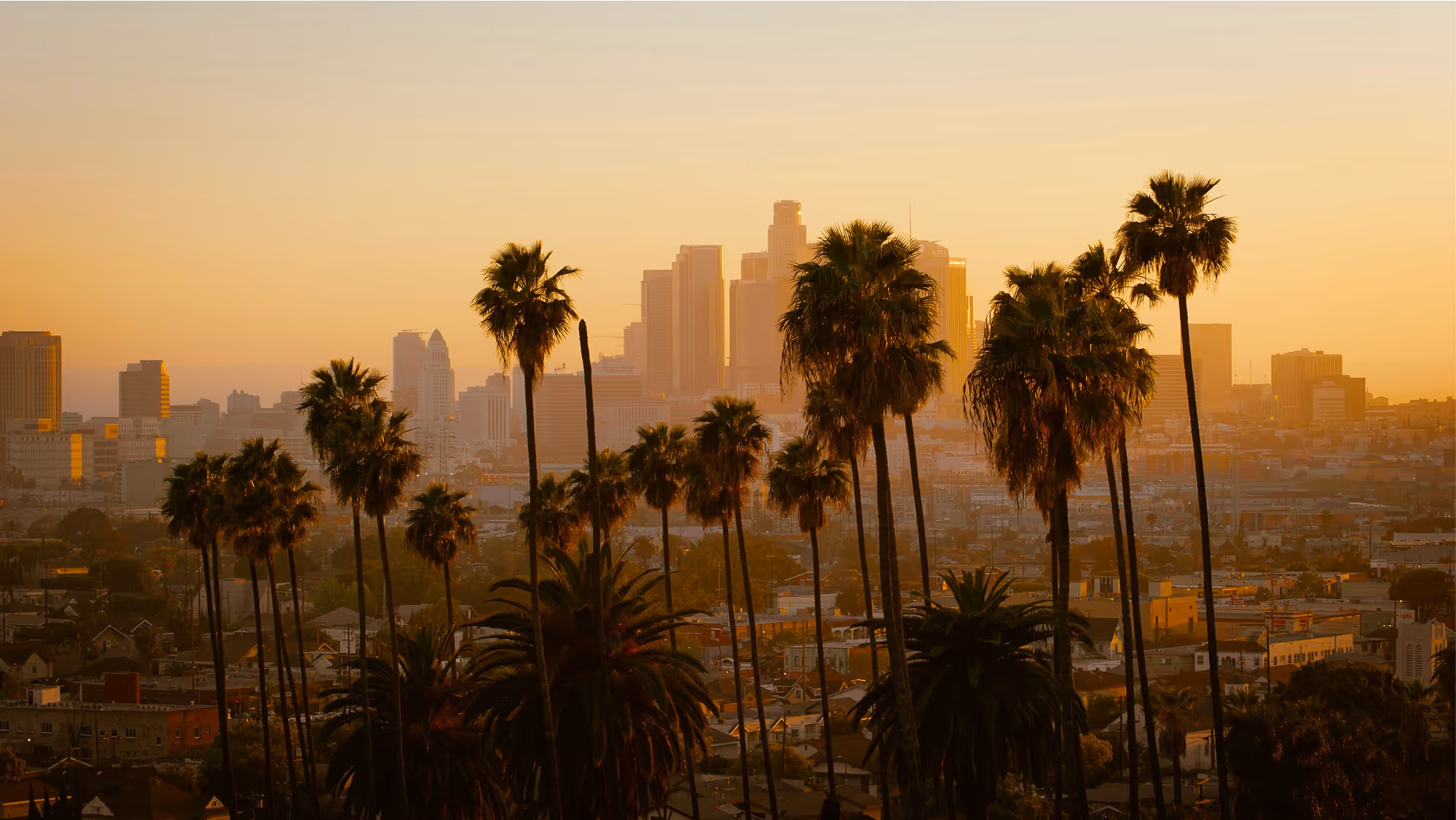 Cityscape of downtown Los Angeles at sunset with tall palm trees in the foreground.