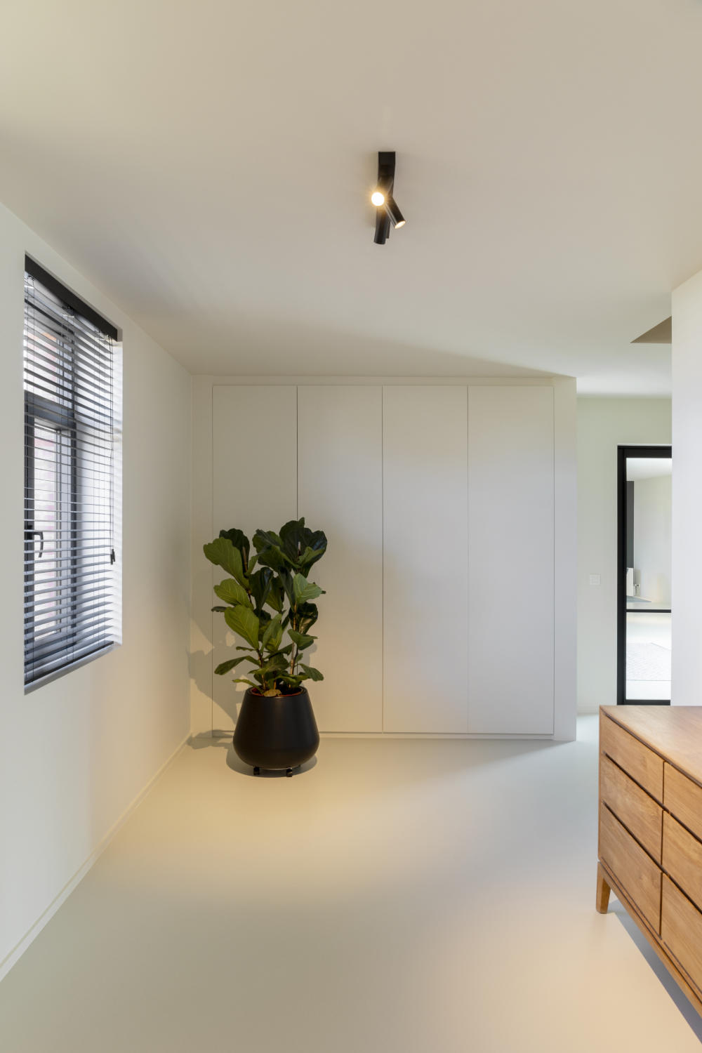 Een witte kamer met grote plant en stijlvolle verlichting