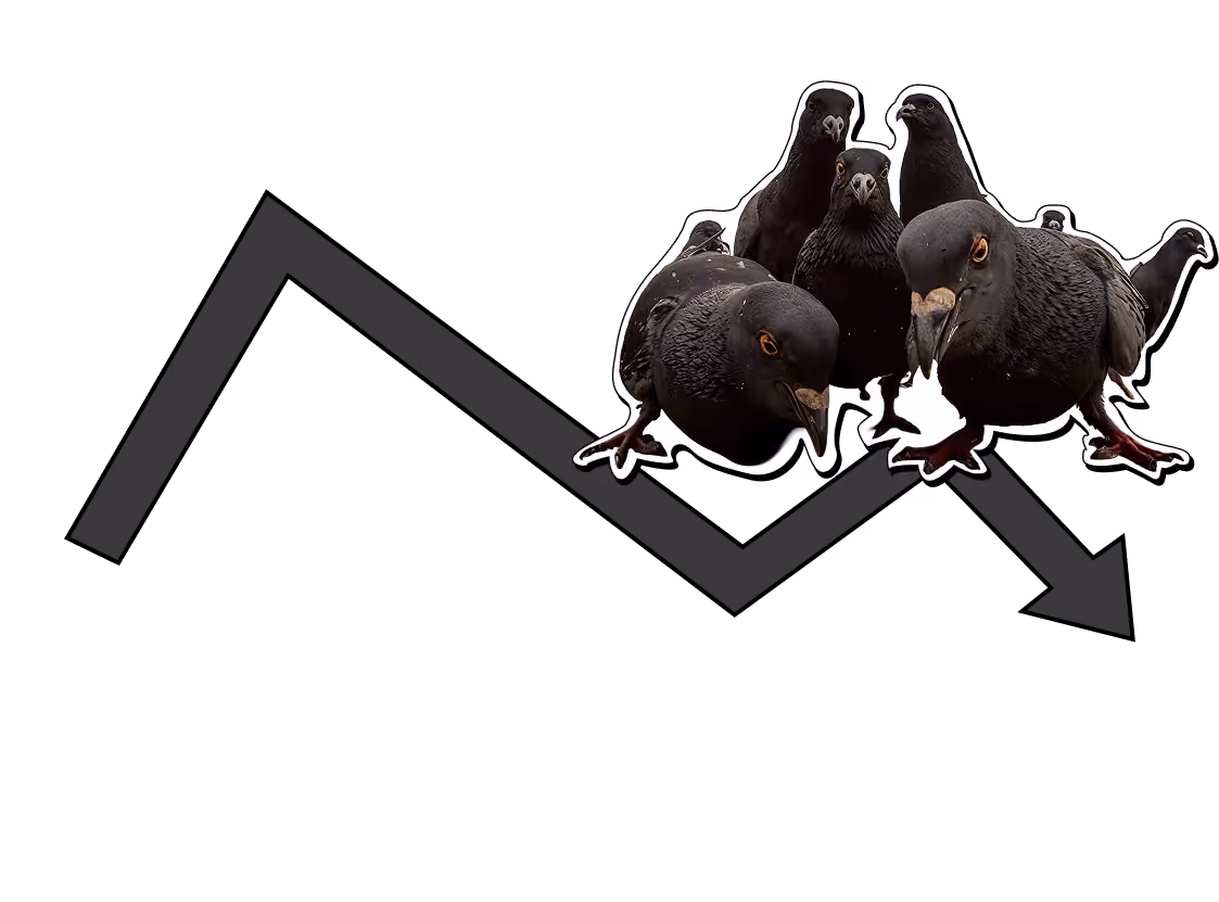Pigeons on a declining chart line illustration