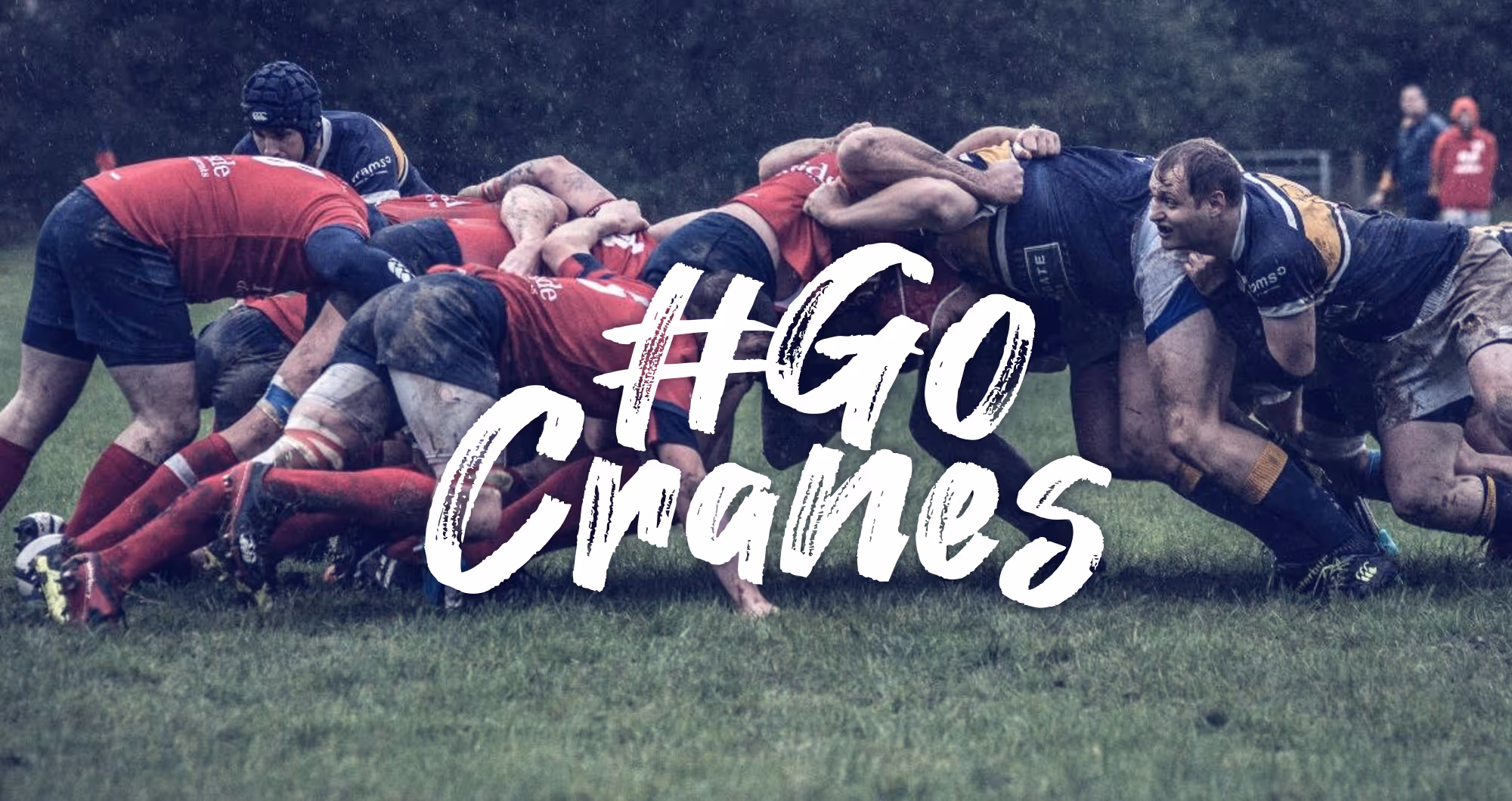 CRFC top GoCranes banner | Silverback