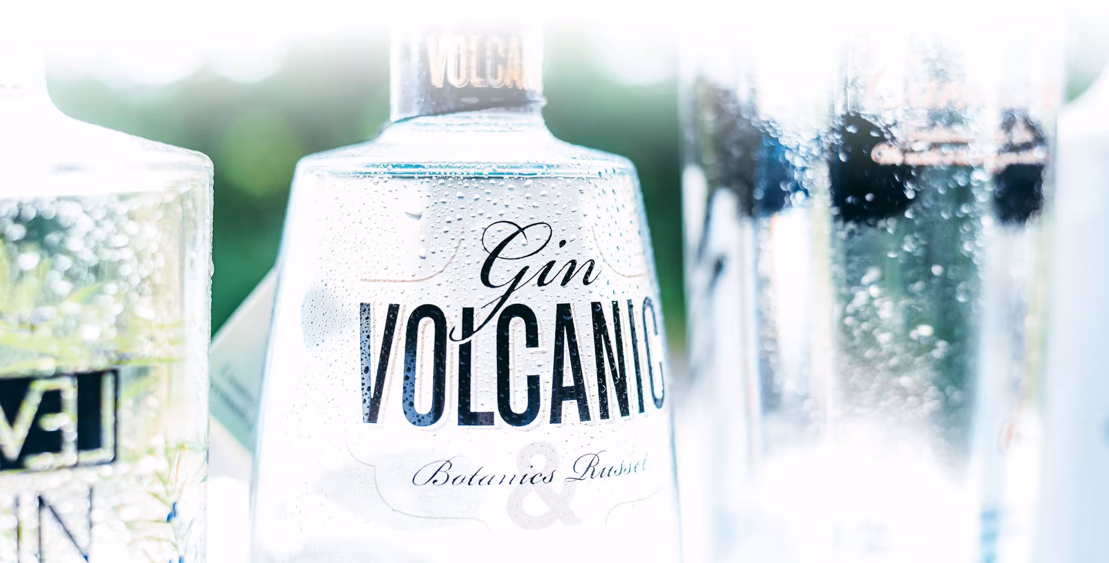 wingtip gin fullwidthbanner | Silverback