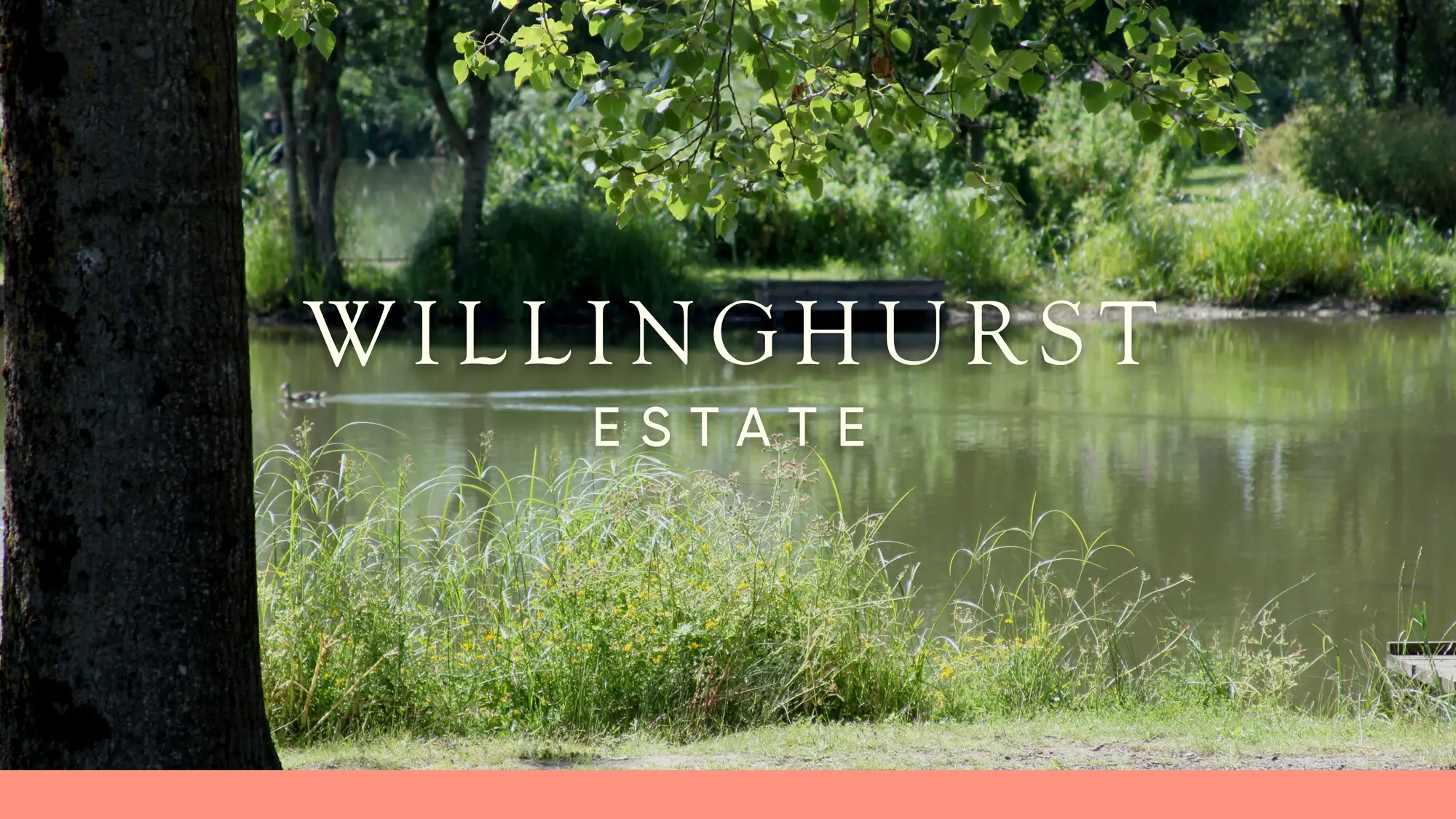 Willinghurst Estate logo in cream on a forest backdrop with a salmon pink bar running along the bottom edge.