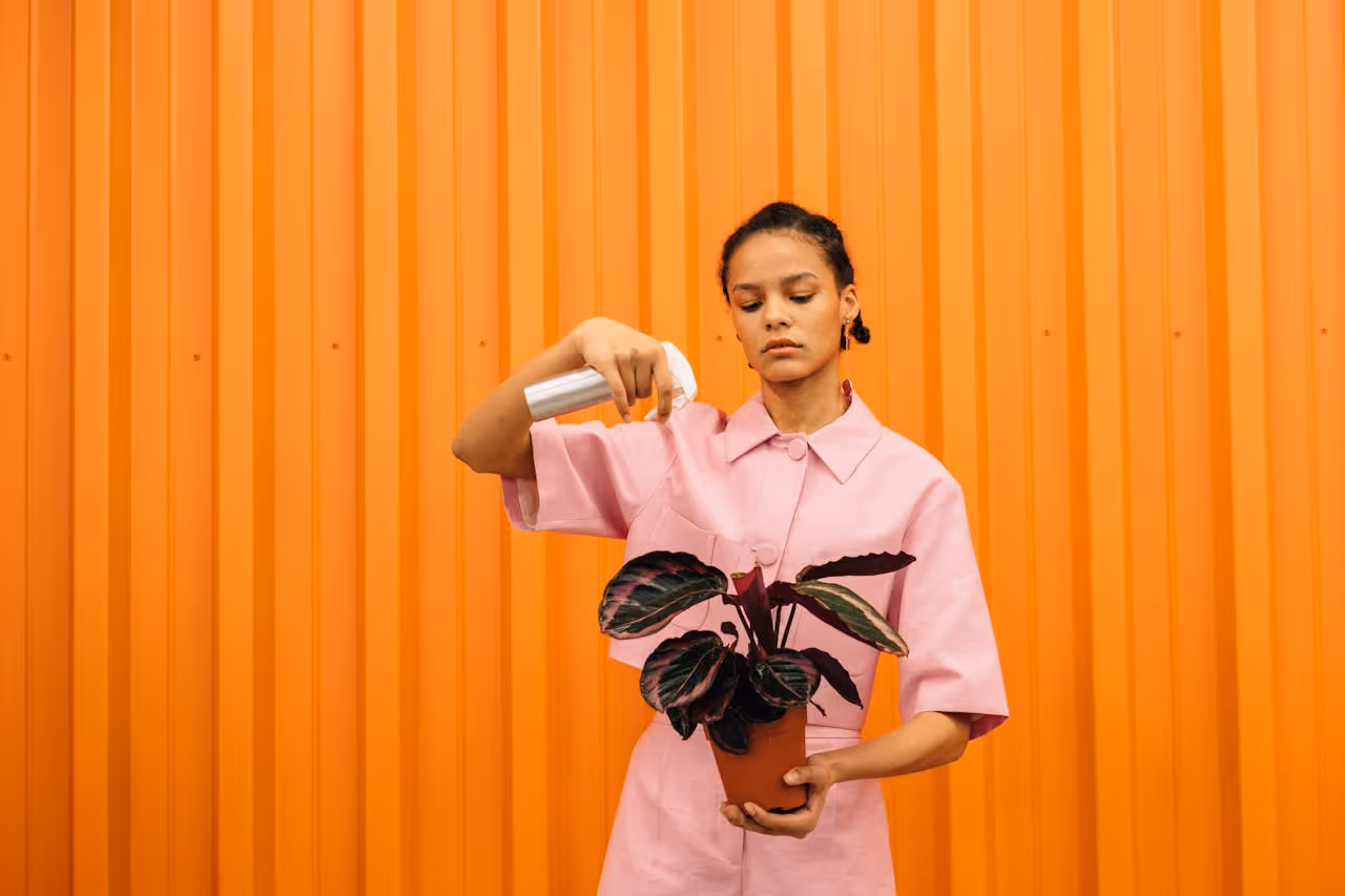 Woman with an orange wall behind, watering a plant.
