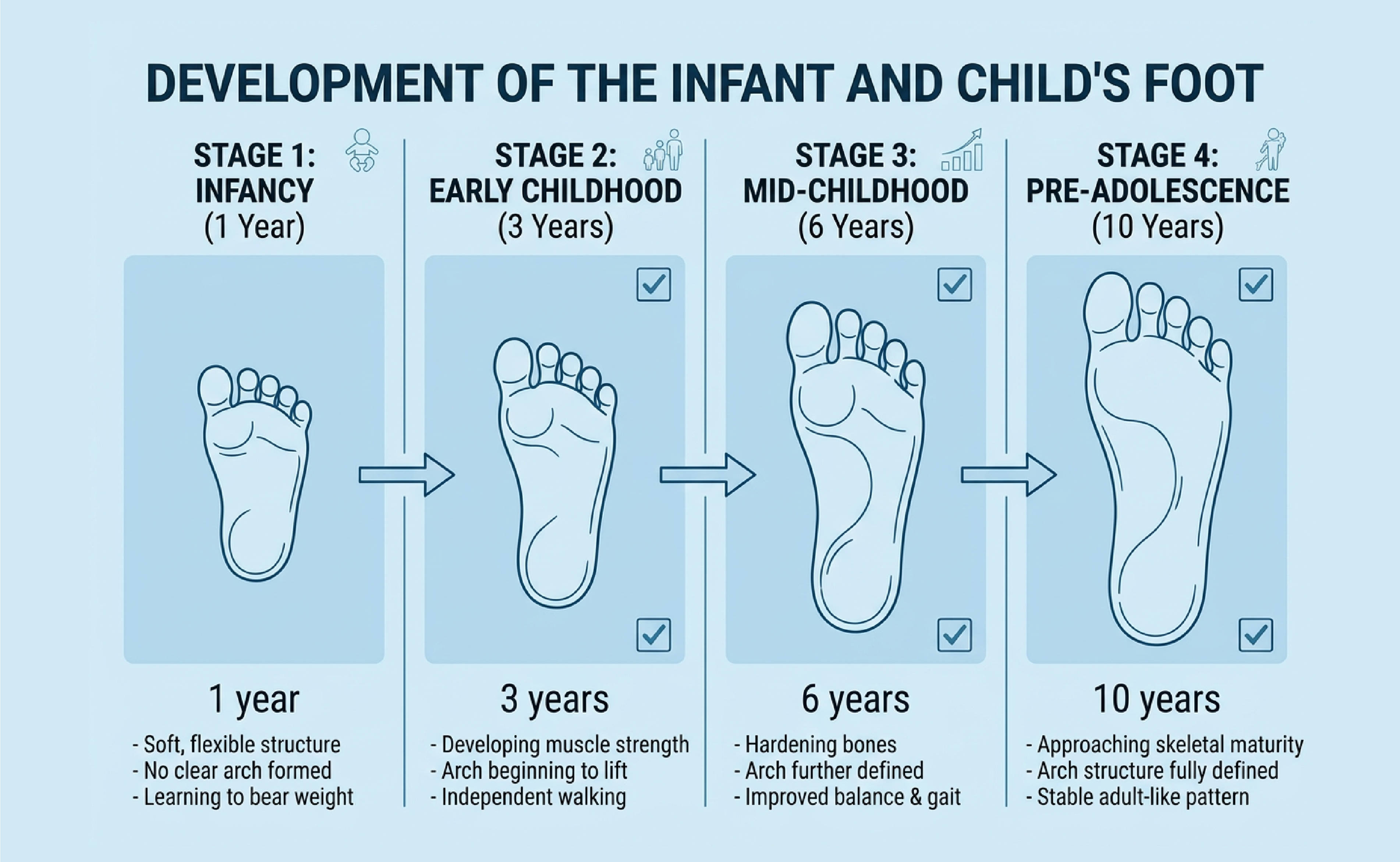 Development of the infant and child's foot – City Osteopathy Integrated Health, Hong Kong