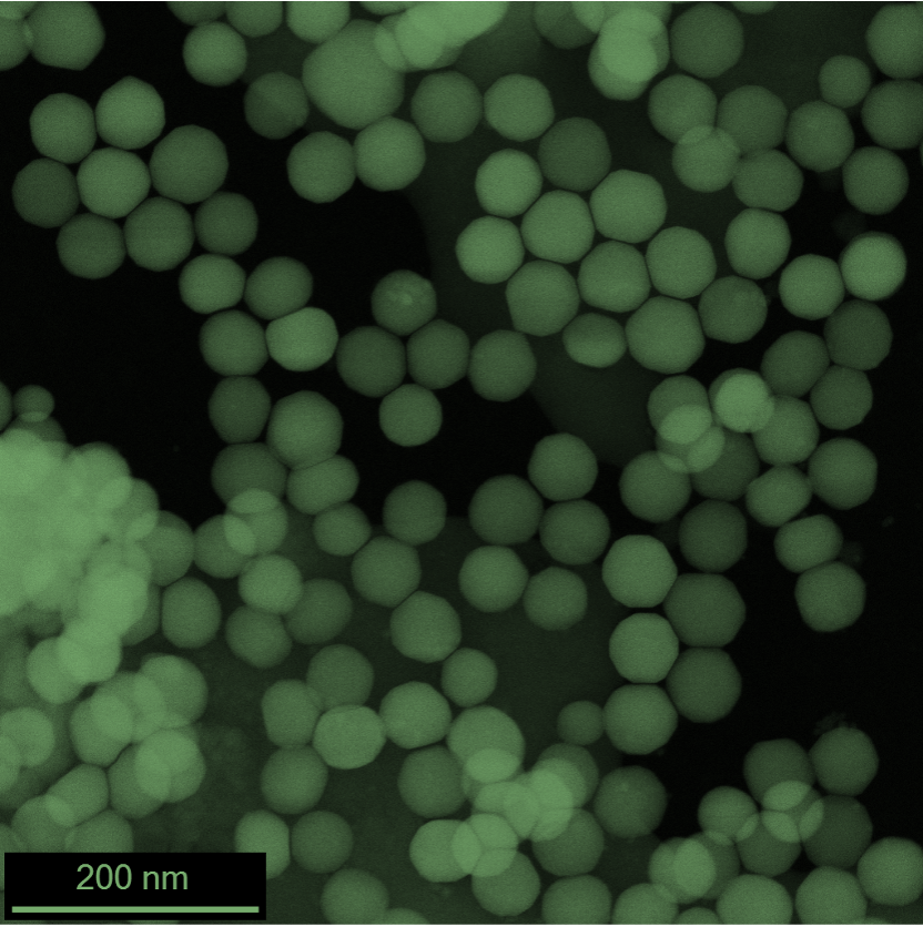 Upconverting nanoparticle-based diagnostic system for pathogen detection