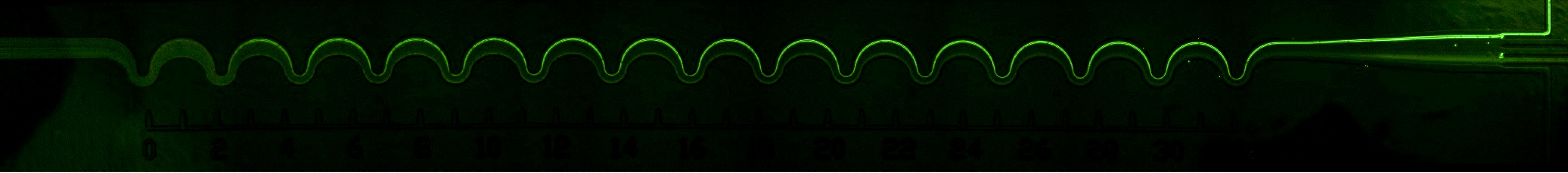 Lab-on-chip device for real-time bacterial adhesion monitoring