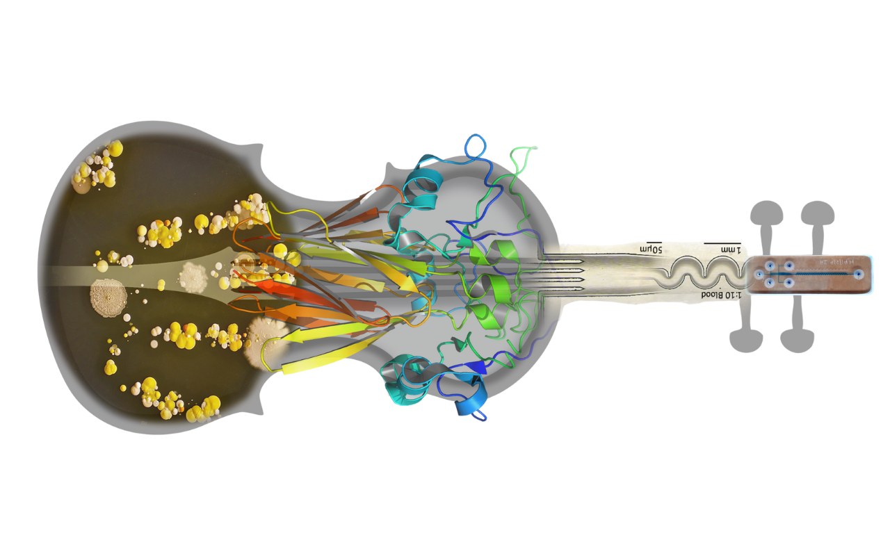 Illustration of ESKAPE pathogens targeted by StraDiVarious research network