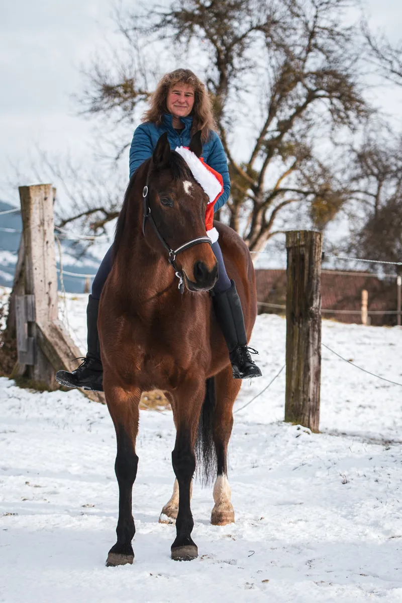 Brigitte sitzt auf ihrem braunen Wallach Jakiri mit einer Weihnachtsmütze im Schnee.