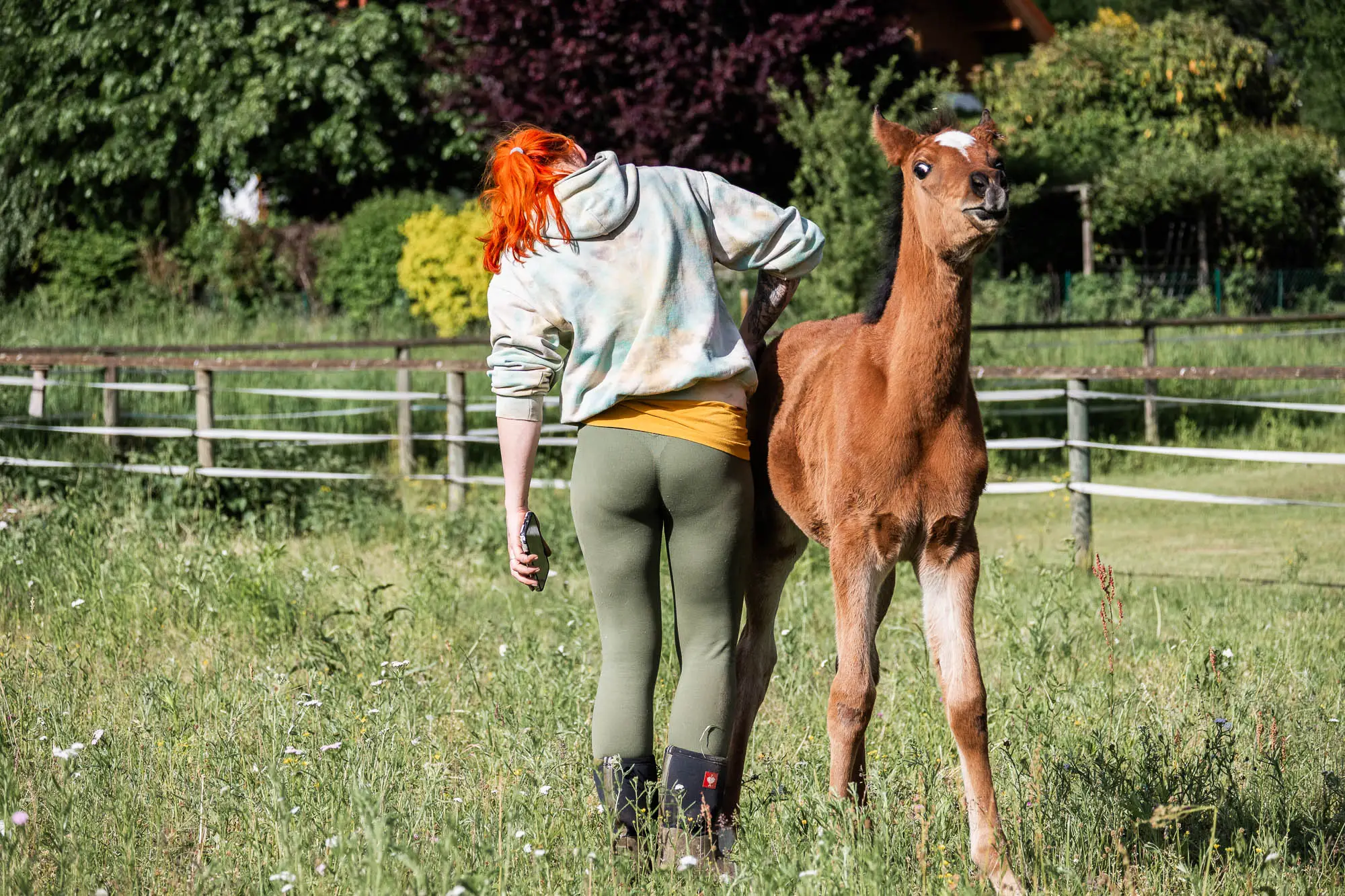 Frau mit roten Haaren steht neben jungem braunen Partbred Araber Fohlen NCS Shamsa Sabaa auf einer Wiese mit Zaun im Hintergrund und krault ihre Kruppe - dabei verzieht das Fohlen genüsslich sein Gesicht und genießt.