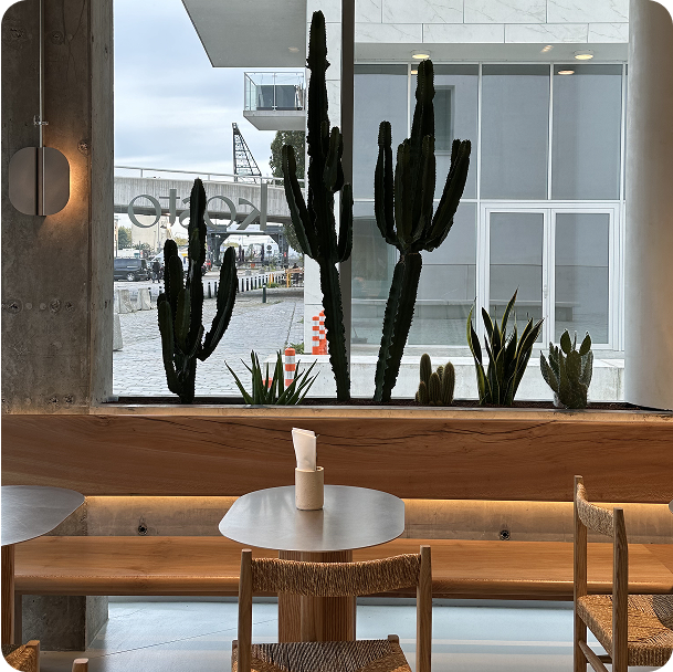 Interior of Kosto with warm wood tones, minimalist furniture, and tall cacti basking in natural light.