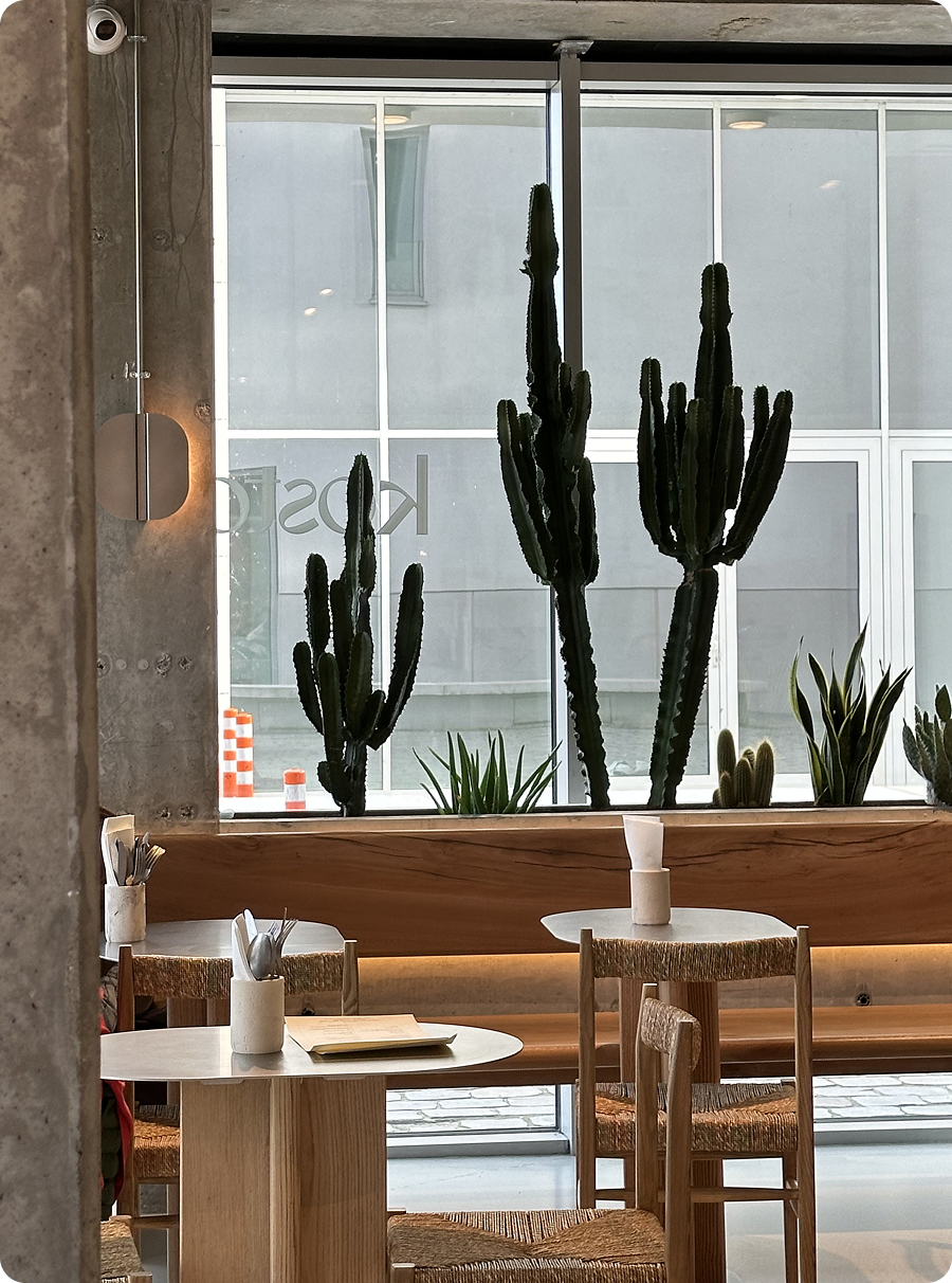 Inside of a Kosto cafe with empty table and cactus decoration