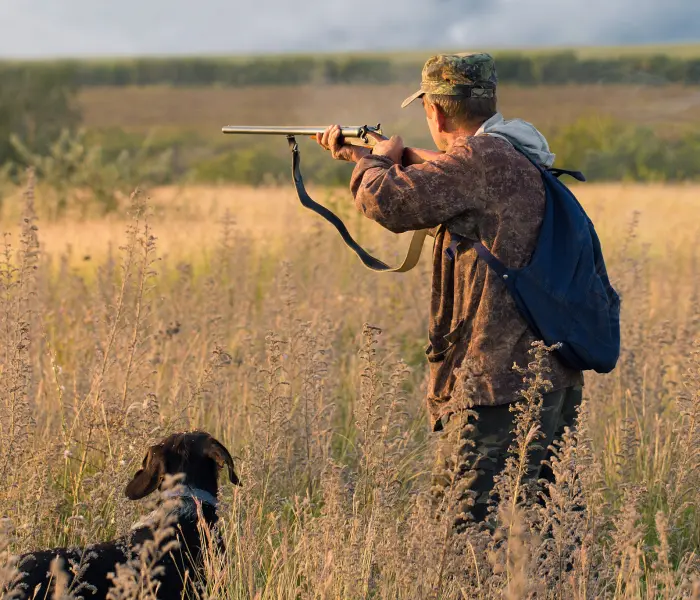 Hunting Photo