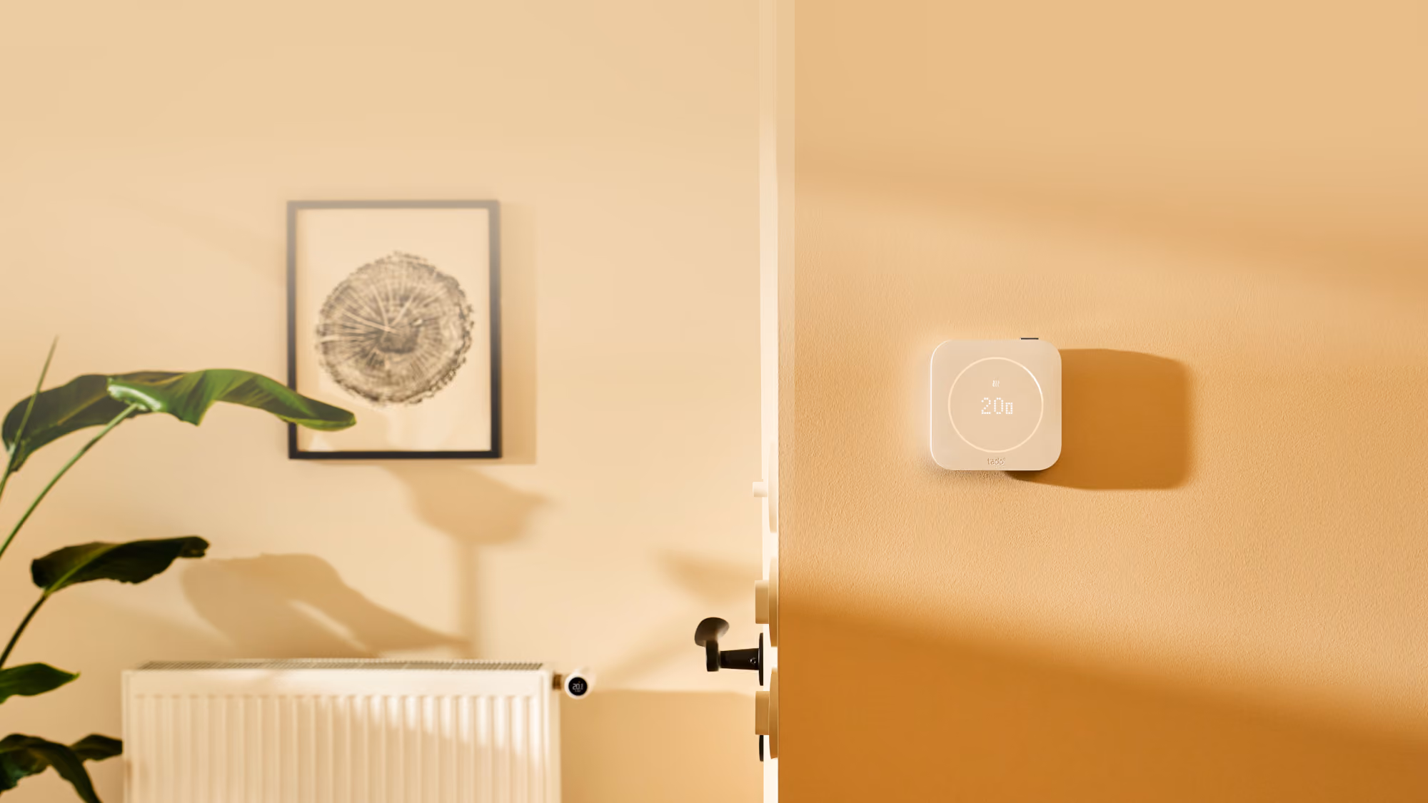 tado° Smart Thermostat X (2nd gen) on a wall and a Smart Radiator Thermostat X fitted to a radiator