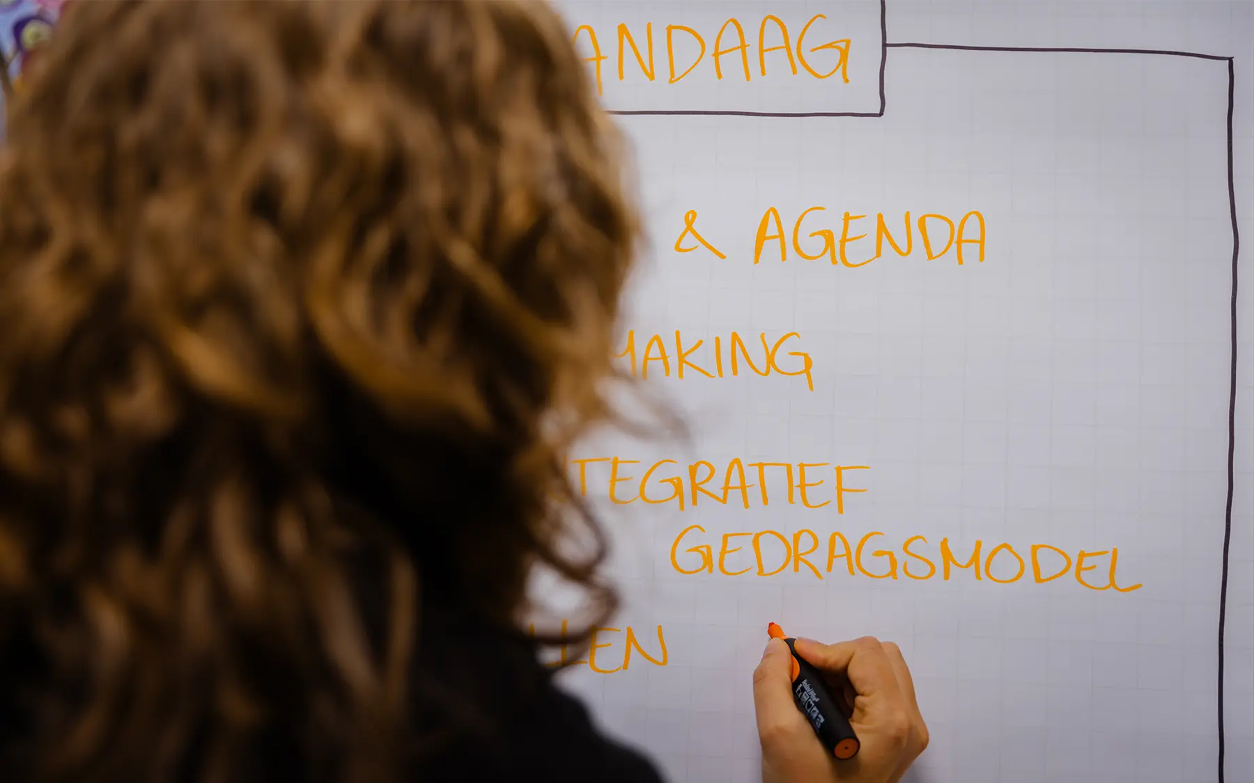 Het integratief gedragsmodel